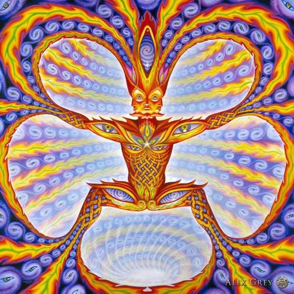 Poster 24x24 13x13 Trippy Alex Gray Poster de parede Impressão Decoração de casa Adesivos de parede Decalque de pôster -- 058250C