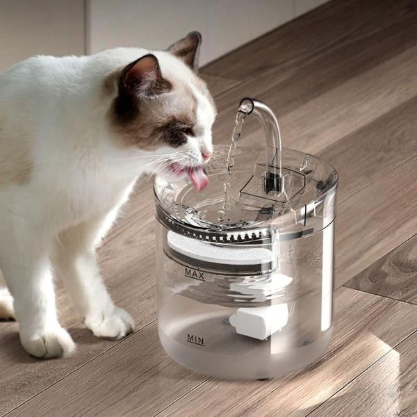 Gato tigelas alimentadores 2l fonte de água automática com torneira dispensador de cão filtro transparente bebedor pet sensor beber feeder234f