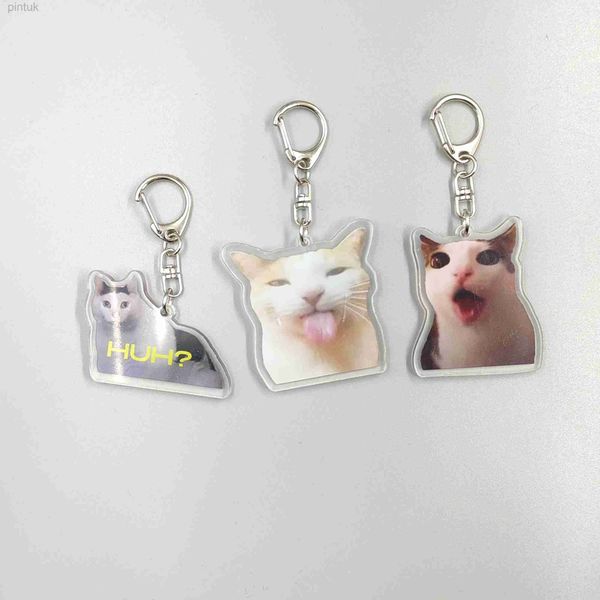 Schlüsselanhänger, Schlüsselbänder, virale Video-Memes, Serie von Schlüsselanhängern – huh Cat Confused Shocked Catcat Crunching, auch bekannt als Crunchy Cat Cat Crunching c ldd240312
