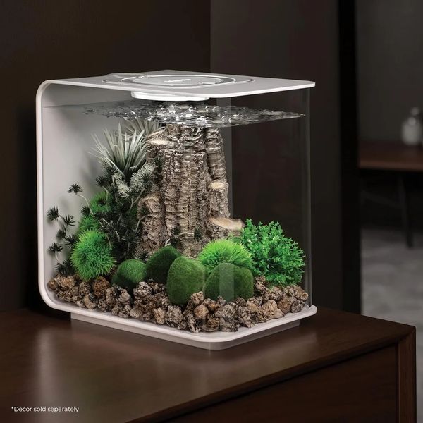 Акриловый аквариум с белой светодиодной подсветкой Современный резервуар для настольного дисплея Аквариум для рыб Мини-товары для водных животных Товары для дома 240226