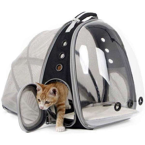 Mochila expansível para transportar gatos, cápsula espacial, bolha transparente, portátil, qet, para cães pequenos, caminhadas, mochila de viagem l267z