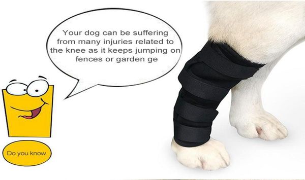 Tutore per gamba posteriore per cani, supporto per garretto posteriore per cani, per lesioni articolari e distorsioni, protezione dalla guarigione delle ferite e perdita di stabilità da Arthr9060826