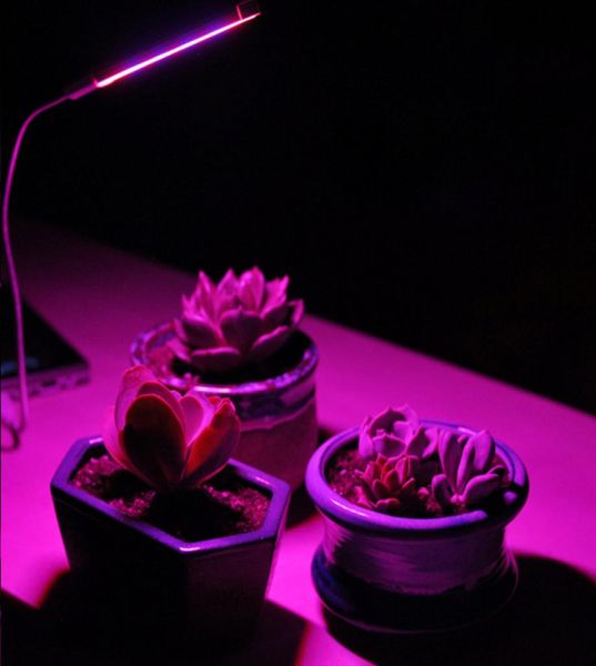USB-LED-Anlage Cob Blei wachsen Lichter tragbare Indoor-Solarlicht-Ergänzungslampen leichte Garten-Blumenanbaulampe Fleisch7806272