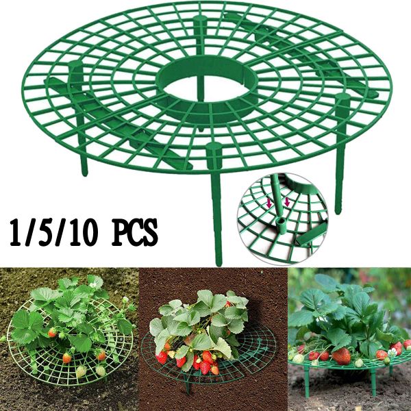Supporta 5/10 pezzi di frutta fragole per piante in plastica rotonda Supporta gabbie parentesi di giardinaggio verde per forniture di verdure da giardino
