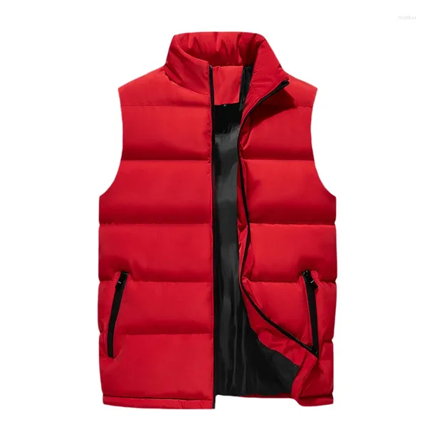 Gilet da uomo 2024 Autunno e Inverno Colletto rialzato Tasca con cerniera impiombata Moda Tinta unita Giù Gilet senza maniche in cotone casual