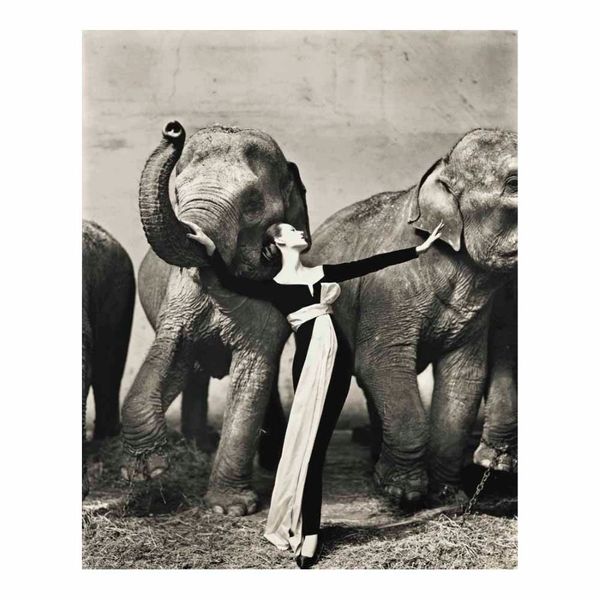 Ричард Аведон Довима со слонами вечернее платье постер живопись домашний декор в рамке или без рамы Poppaper Material278R