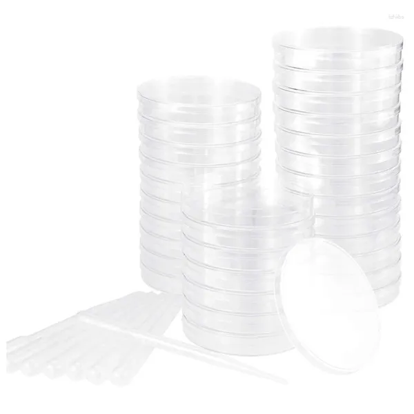 Piastre Set di piastre Petri con coperchi Kit da 100 pipette di trasferimento in plastica (3 ml) per progetti scolastici di fiere scientifiche