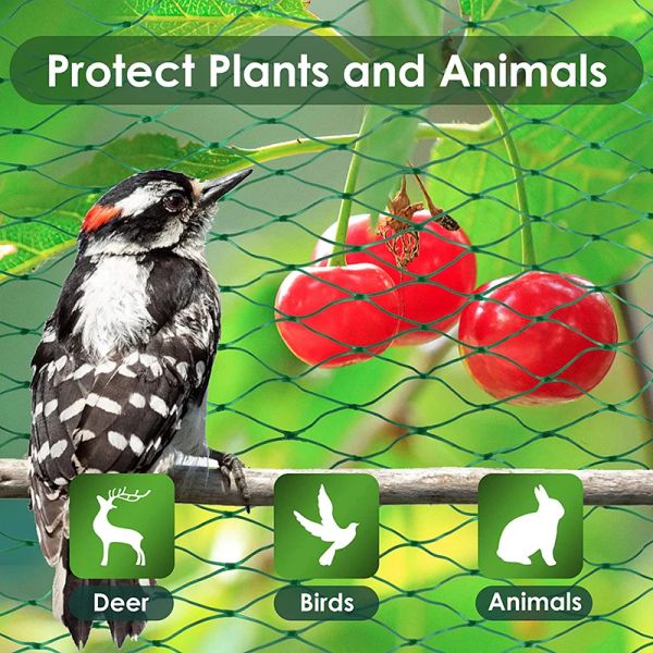 Rete di protezione verde riutilizzabile anti-uccelli Rete da 15 mm Rete per piante da giardino Proteggi piante Alberi da frutto da uccelli Cervi Pollame Scherma