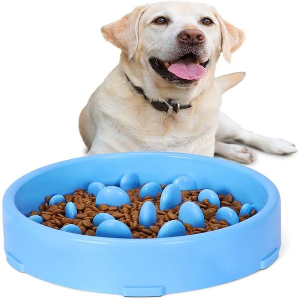 Ciotola per alimentazione lenta per cani Anti-deglutizione Piatti per alimentazione più lenta per animali domestici Durevoli che prevengono il soffocamento Design sano Cani166f