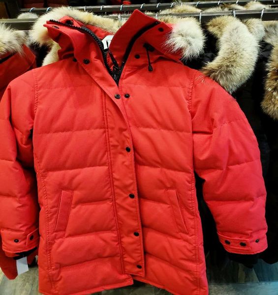 Top Quality Novos homens jaqueta de inverno Moda parka mens casacos de inverno Tecido Grosso Para Baixo Com Pele De Lobo Real vison puffer Manter Aquecido 3735692