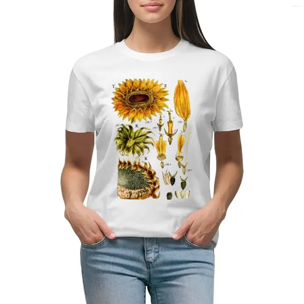 Damen Polos Sonnenblume Antike Botanische Illustration T-Shirt Anime Kleidung Sommer Top Übergroße schwarze T-Shirts für Frauen