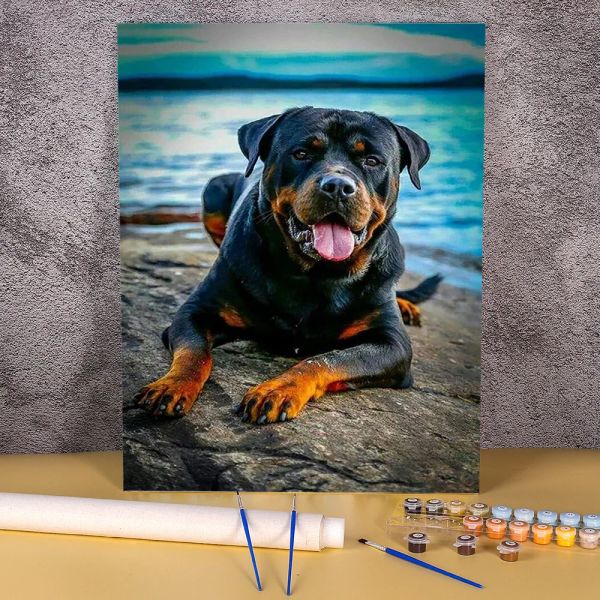 Número animal cão rottweiler diy pintura por números pacote tintas a óleo 50*70 quadros em tela adultos desenho por atacado