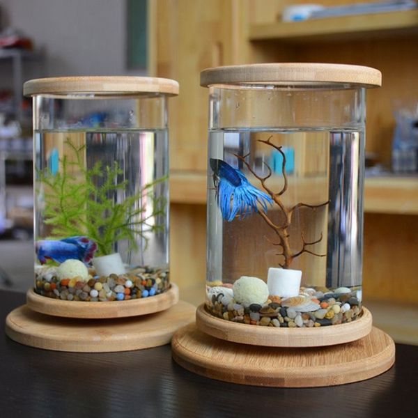 1 pçs vidro betta tanque de peixes base de bambu mini tanque de peixes decoração acessórios girar decoração tigela de peixes acessórios do aquário y200336h