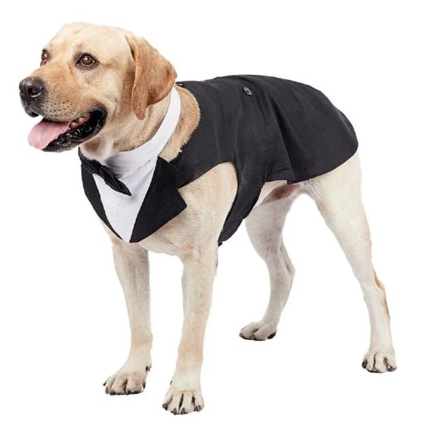 Conjuntos de casamento formal do cão camisa preta tailcoats para cães médios grandes moda terno para festa cosplay golden retriever bulldog samoyed