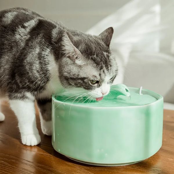 Forniture Abbeveratoio automatico per fontana per animali domestici per cani e gatti, ciotola per bere in ceramica, distributore d'acqua per animali domestici, fontana per gatti da 2 litri Decorazione per interni MUTO