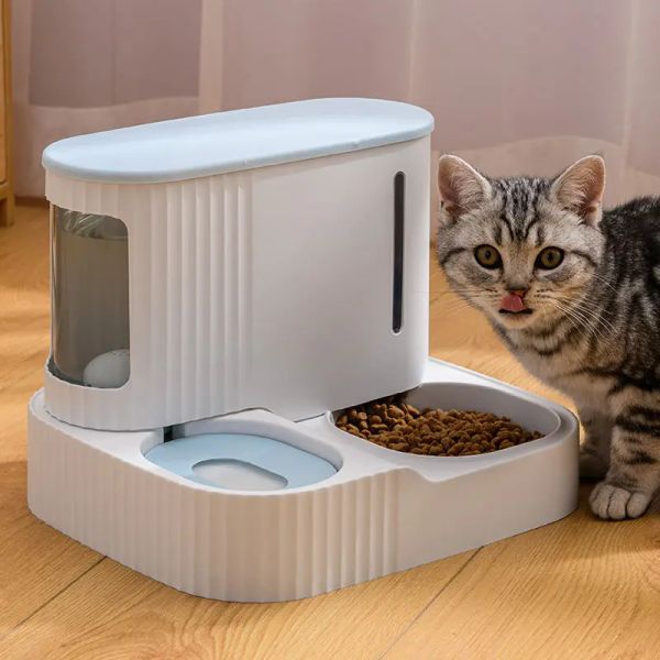 Forniture Alimentatore automatico per animali domestici Separazione umido-asciutto Ciotola per cibo per gatti da 3 litri Bottiglia d'acqua da 850 ml Dispenser di cibo per gatti per cani di grande capacità Forniture per animali domestici