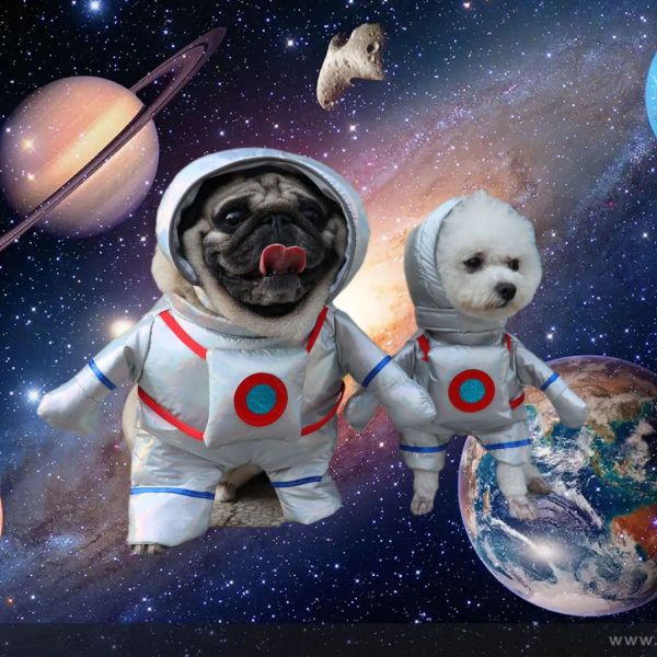 Sets MPK Haustier Hund Astronaut Raumanzug Astronaut Stand Up Halloween Kleidung Lustiges Kostüm Auch für Katze geeignet (A6081)