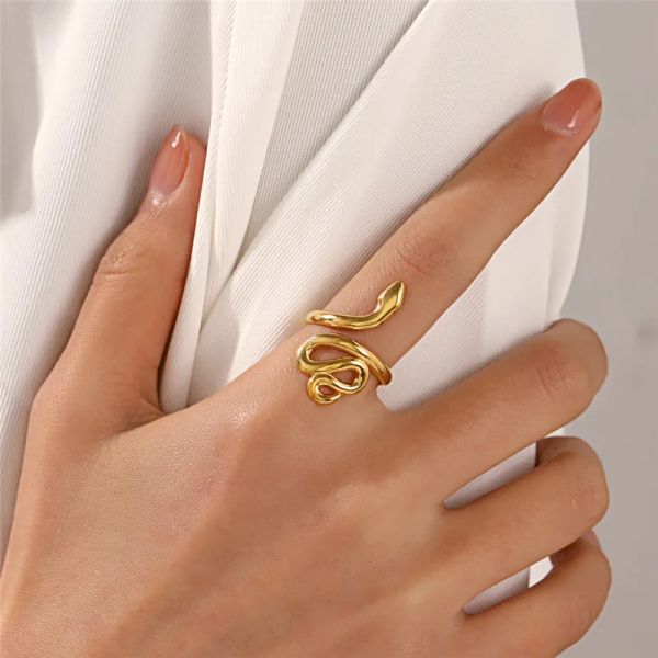 Minimalistischer schlangenförmiger Punk-Hip-Hop-Stil Sternzeichen-Schlange-Ring aus 14 Karat Gold für Männer und Frauen