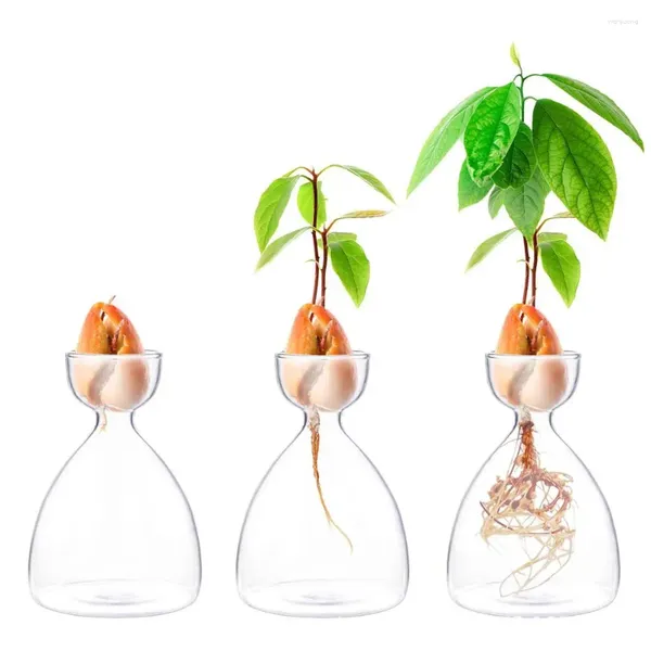 Vasos adesivos amantes de jardinagem planta kit de cultivo de sementes de vidro vaso para iniciantes