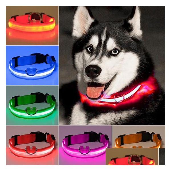 Hundehalsbänder, Leinen, LED-Nylon-Haustier-Hundehalsbänder, Nacht-Sicherheitslicht, blinkend, im Dunkeln leuchtend, kleine Leine, USB, leuchtender Ladungsverlust, Prev Dhjhm