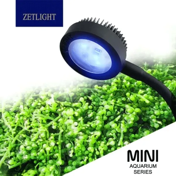 Illuminazione Lampada LED Zetlight M1 LED Spettro completo Nano Piccolo acquario Acquario Acqua salata Barriera corallina marina LED e luce per piante