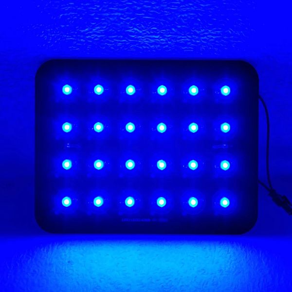 Lightings 24 W Königsblau 450 nm ~ 455 nm LED + PCB für DIY-Lampe, Spot-Glühbirne, Pflanzenaquarium