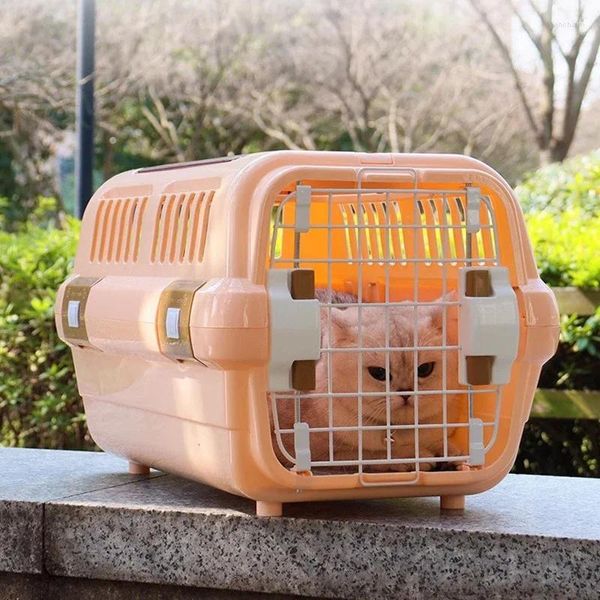 Katze Träger Hunde Rucksack Haustier Voll Platz Transparent Outdoor Haustiere Tasche Doppel Schulter Drachen Rabbitkitten Liefert