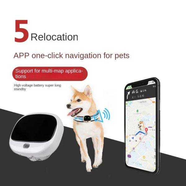 İzleyiciler 4G GPS Kişisel İzleyici Mini GPS PET TRACKER 4G LTE 2G GSM ÜCRETSİZ Uygulama ile En İyi Köpek GPS Tracker