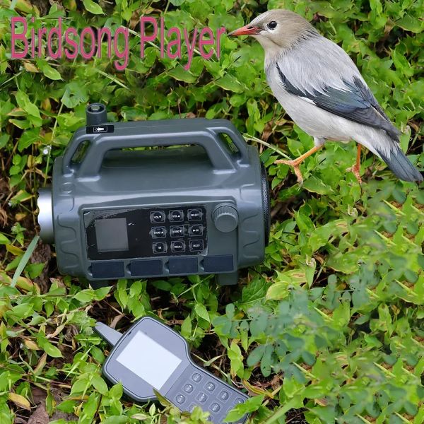 Rings Elektronisches Tier-Lockgerät für den Außenbereich mit grünem Licht, eingebauter 400-Vogel-Sound-Anrufer, MP3-Player, Fernbedienung, Vogelgesang-Gerät
