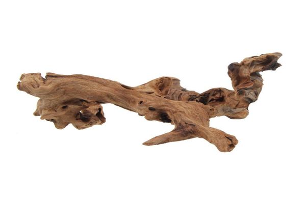 Aquário sinkable driftwood aranha madeira natural grapewood decoração do tanque de peixes tropicais planta habitat decoração varia size3912977