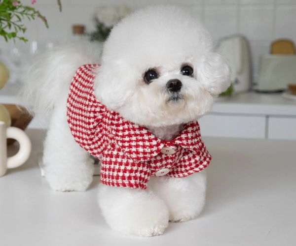 Giacche Cappotto rosso scozzese per animali domestici, giacca calda, adorabili vestiti per cani, vestiti per gatti, Natale, moda, autunno, inverno