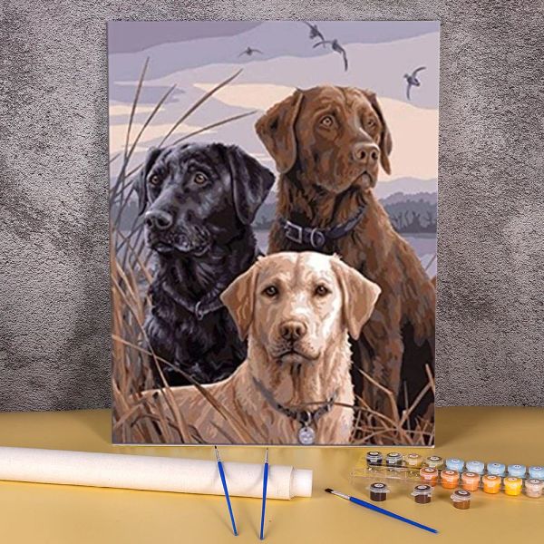 Número animal cão labrador colorir por números conjunto de pintura tintas a óleo 40*50 pintura em tela pinturas de parede para artesanato