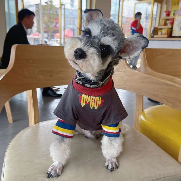 Camicie Manica a righe Colletto a coste T-shirt Abbigliamento per cani Marrone Moda Cani di piccola taglia Abbigliamento Gatto Primavera Autunno Schnauzer Ragazzo Prodotti per animali domestici