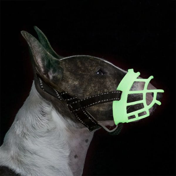 Museruole Fluorescenza Maschera per museruola per cani Antibiting Silicone per animali domestici Bocca Museruole Riflettente Copribocca regolabile per cani di piccola taglia di taglia grande