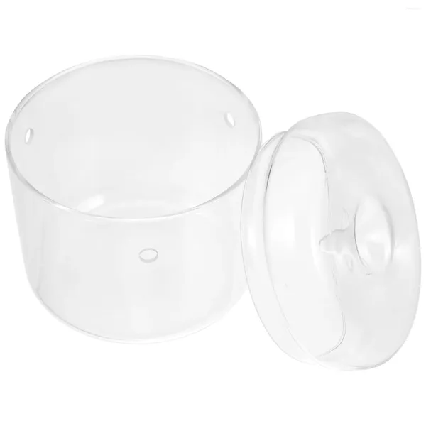 Vasi Mini tazza terrario vetro piante grasse micro paesaggio contenitori per bottiglie fai da te ufficio muschio piccolo