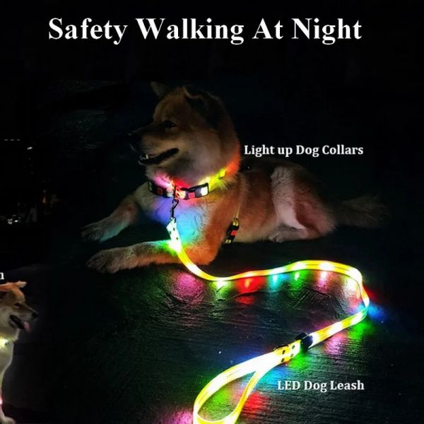 Trelas iluminam a trela do cão com colar conjunto à prova d'água corda de PVC USB recarregável brilho no escuro visível segurança noite andando