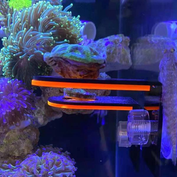 Peças aquário acrílico fluorescente coral crescente titular sps suportes ferramenta tanque de peixes coral marinho recife suporte tanque paisagismo pecera