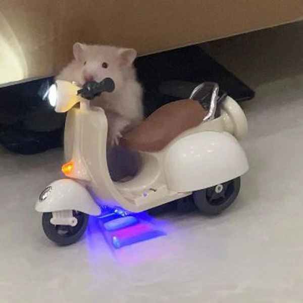 Toys Hamster oyuncakları 360 Degree Rotasyon Motosiklet Aydınlatma Elektrikli Pet Sıçan Oyuncak Hamster Aksesuarları Motosiklet Elektrikli Oyuncaklar Tavşan