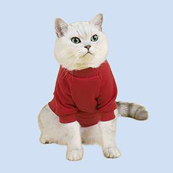 Haustier-Kapuzenpullover für Herbst und Winter, neue bequeme, atmungsaktive, warme Plüschkleidung, Kleidung für kleine Hunde und Katzen