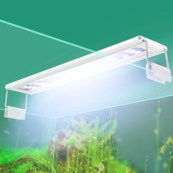 Illuminazione Acquario Illuminazione a LED 1557cm 220240V Lampada per acquario con staffe estensibili LED bianchi e blu adatti per acquario