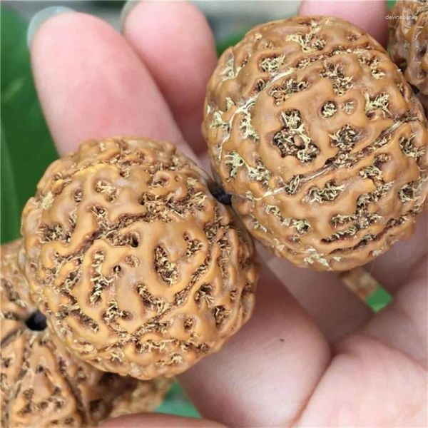 Strand atacado original semente grande rudraksha contas pulseira cinco 78 oito peças rosário feminino masculino