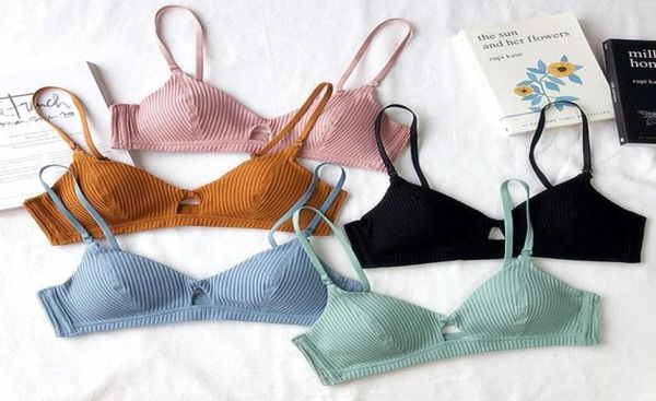 Nur ein BH, 5 Farben, Baumwolle, kleine Körbchen-BHs mit Polster, Damen, sexy Nachtwäsche, Bralette, dünner Draht, Komfort-Büstenhalter für Mädchen72289936960525