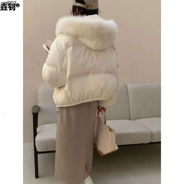 Kış yeni Kore versiyonu kadınlar için küçük ceket kısa tilki kürk yaka beyaz ördek kalınlaşmış sıcak ts13