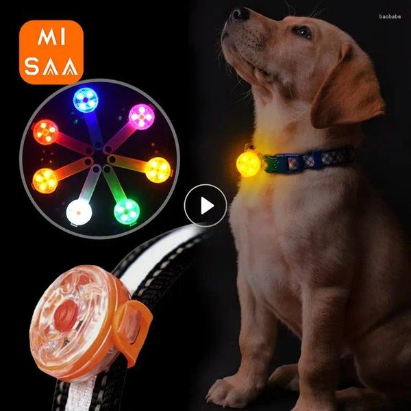 Collari per cani Collare per gatti a LED impermeabile Ciondolo per collare per gatti di sicurezza notturna Luce luminosa lampeggiante con accessori di consumo