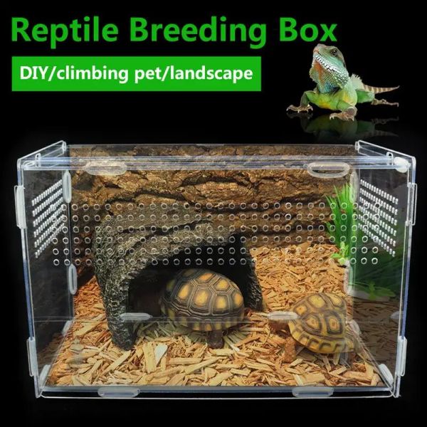 Terrários Transparente Réptil Animal Inseto Animal de Estimação Respirável Caixa de Plástico Hamster Sapo Cobra EscapeProof Gaiola Tartaruga Lagarto Silkworm