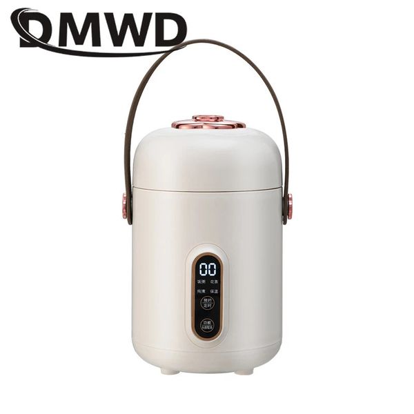 110V Wasserkocher Gesundheit Tee Wasserkocher Eintopf Suppe Brei Slow Cooker Reis Kochen Heizung Lunchbox Lebensmittelwärmer 240313