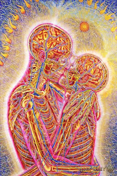 Плакат 32x24quot 17x13quot Trippy Alex Grey настенный постер с принтом домашнего декора настенные наклейки плакат Decal0388091661