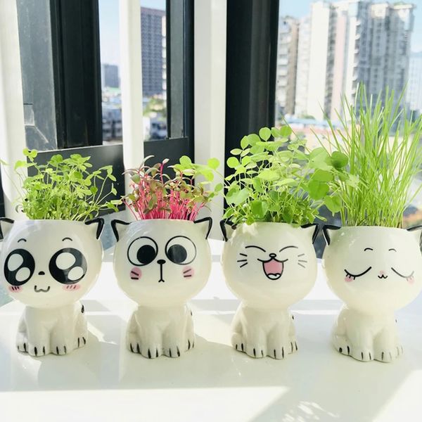 2 pezzi in ceramica vaso da giardino fioriere a forma di gatto cartone animato pianta in vaso desktop in vaso espressione vasi da fiori scrivania decorare la casa ornamento 240304