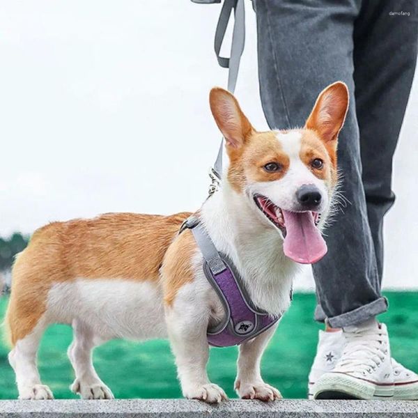 Hundehalsbänder, verstellbare Geschirre, Leinen-Set, Zubehör, reflektierender Polyester-Welpen-Brustgurt, atmungsaktiv, für Spaziergänge im Freien