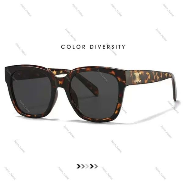 Luxus-Retro-Eye-Celinly-Sonnenbrille, Celiene-Sonnenbrille für Damen, Ce-Sonnenbrille, Designer Arc De Oval, französische hochwertige Celibe-Sonnenbrille 958